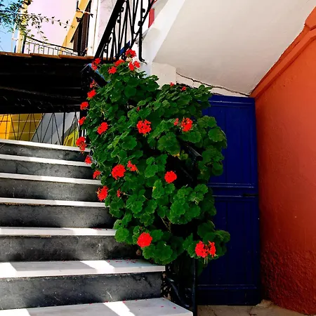 Pansion Roulis Mesongí