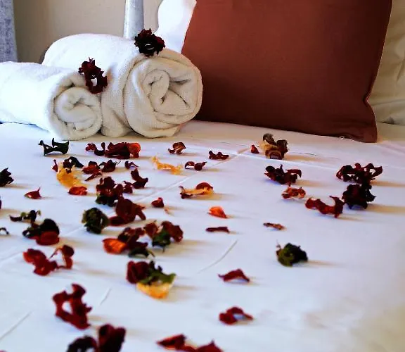 Pansion Roulis Hotel Mesongí